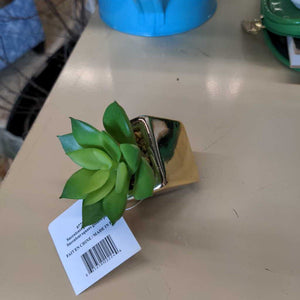 Magnetic Succulent Square Golden Pot # 778-007