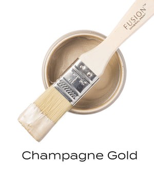 Metallic Paint - Champagne Gold