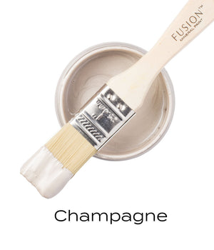Metallic Paint - Champagne