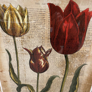 Antiquarian Tulip II Print in Bronze Frame