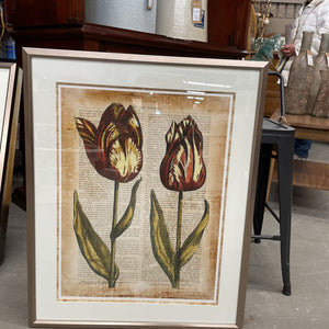 Antiquarian Tulip III Print in Bronze Frame