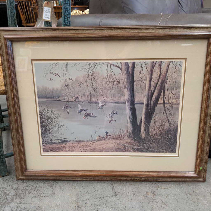 Waterfowl Print by Maynard Reese in Wood Frame