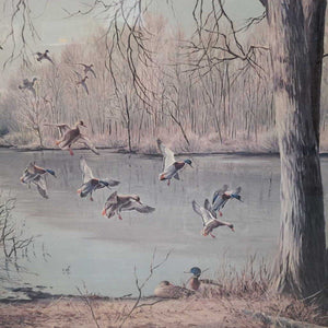 Waterfowl Print by Maynard Reese in Wood Frame