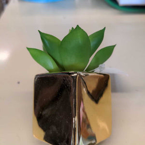 Magnetic Succulent Square Golden Pot # 778-007