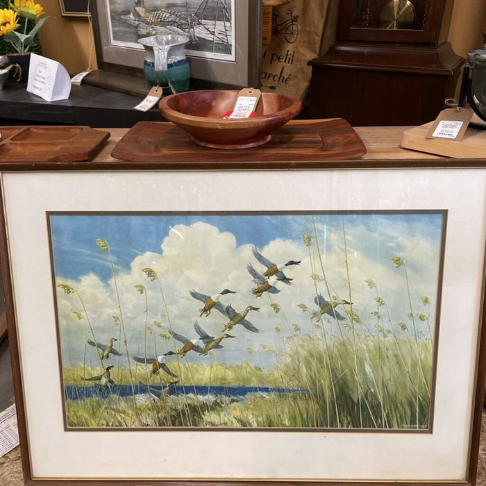 Original Watercolour Ducks in the Marsh by Peter Scott - 1934