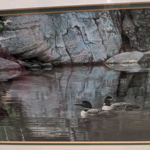 "Northern Reflections" Print - Pair of Loons in Black Frame