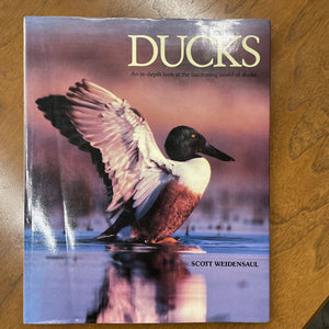 Ducks - by Scott Weidensaul - Hardcover