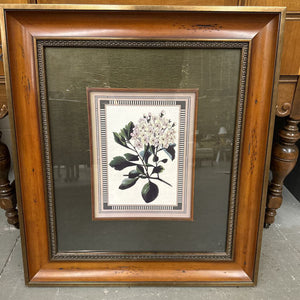 Botanical Print Wooden Frame w/Bronze Accents Lavender Flowers