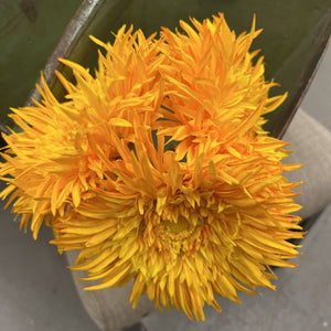 Faux Orange Gerber Daisies