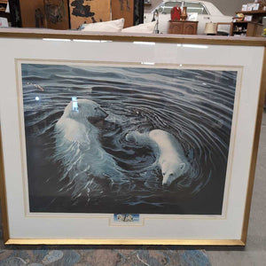 Framed Print "Artic Circle" Signed & Numbered By Robert Stanley