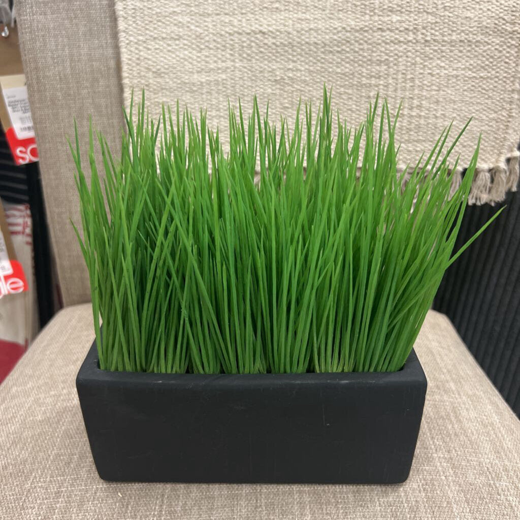 Faux Cat Grass In Black Ceramic Container