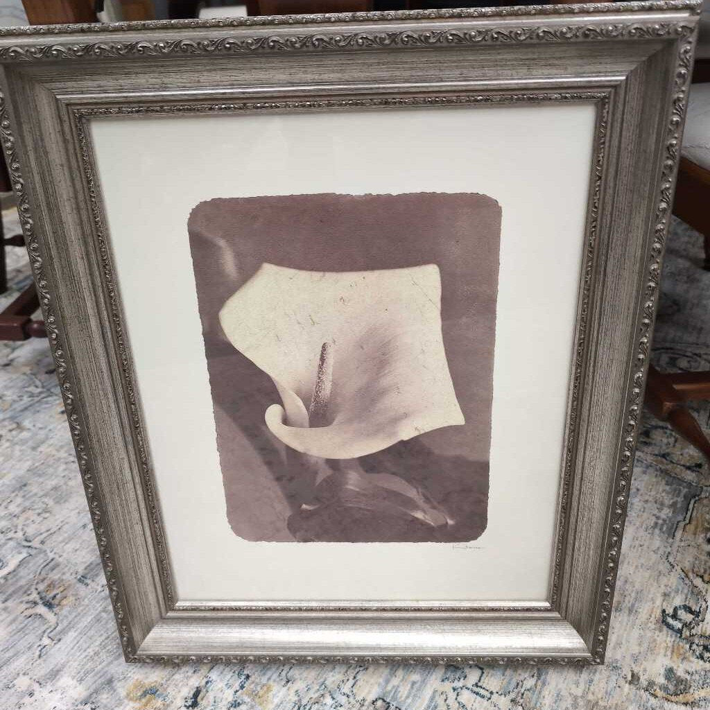 Calla Lily in Ornate Frame By Kim Frances