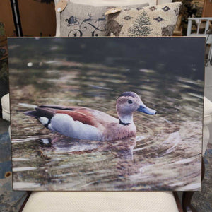 Ring Teal Duck Print