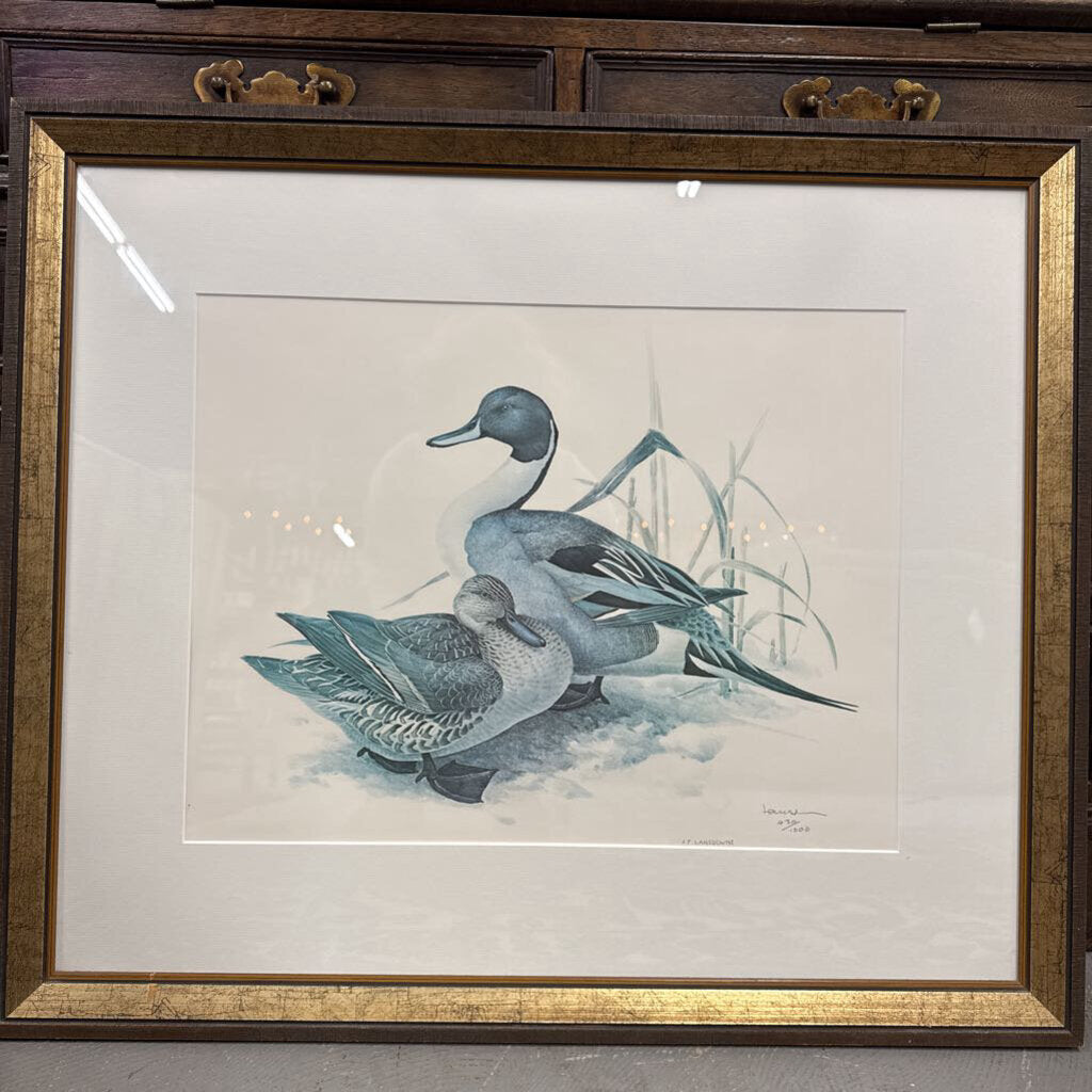 Mallard Duck Pair (Mates) Signed Print by James Fenwick Landowne Print - Gold Frame