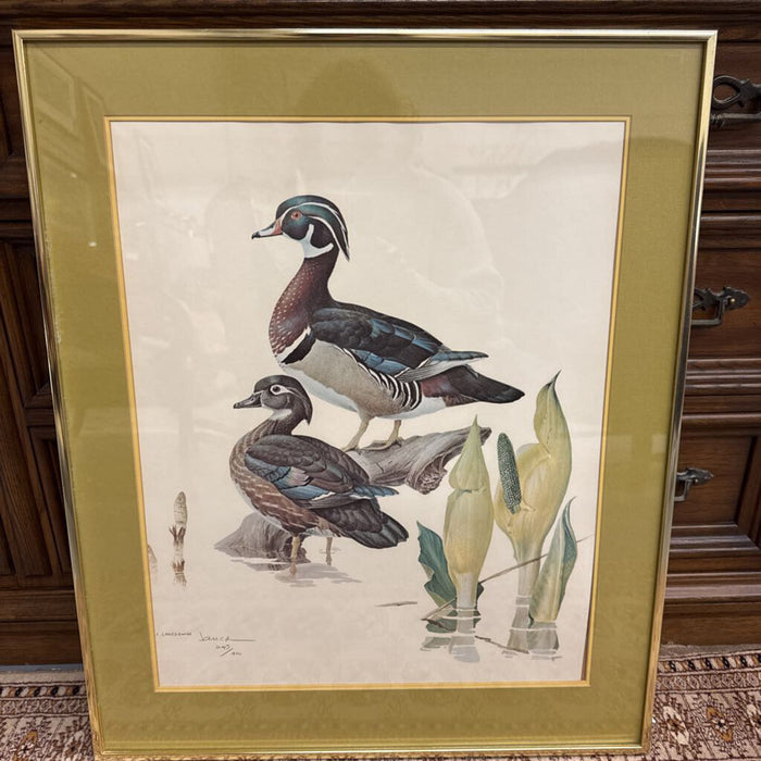 Wood Duck Pair, Signed Print - Green Mat - by James Fenwick Lansdowne