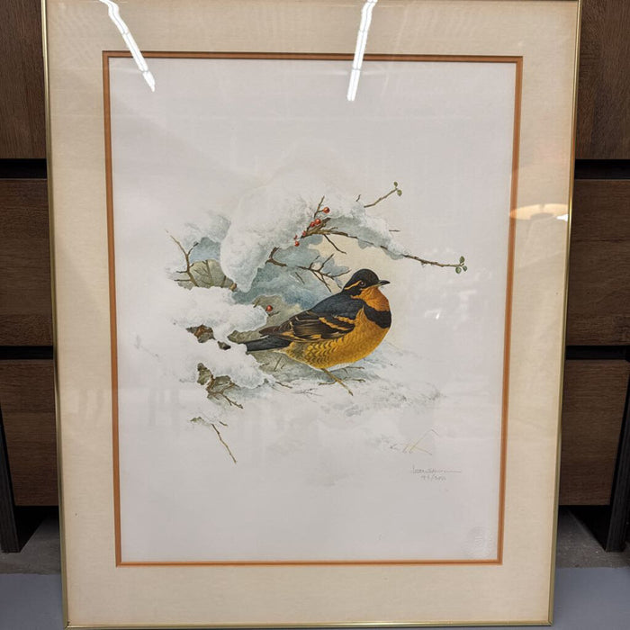 The Varied Thrush - Signed Print by James Fenwick Landowne, Gold Frame