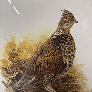 The Ruffled Grouse - Signed Print by James Fenwick Landsdowne, Gold Frame