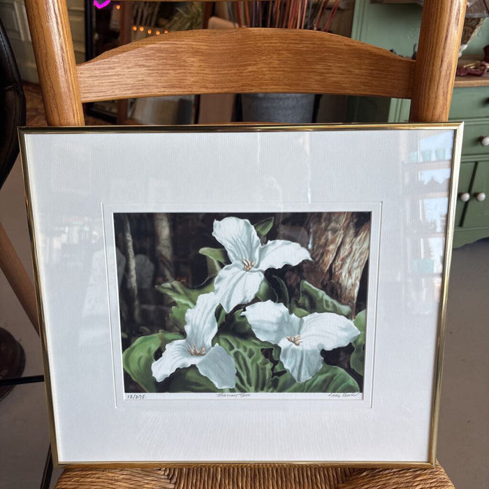 "Trillium Trio" Print By Doug Hook