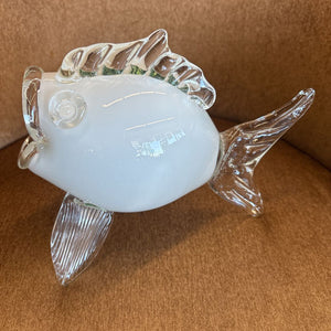 White Glass Fish