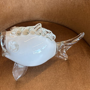 White Glass Fish