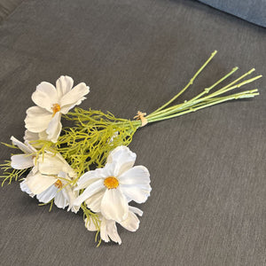 Cosmos Bush of Flowers - Cream