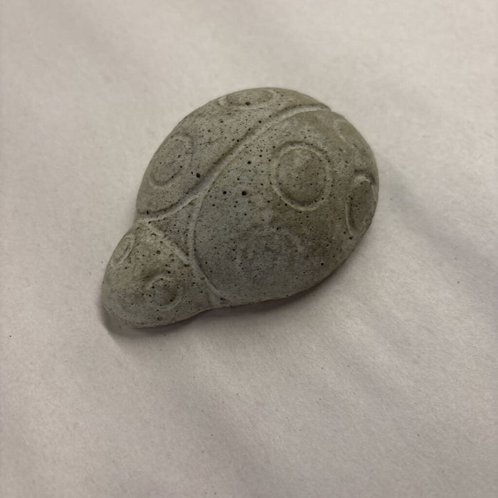 Cement Lady Bug