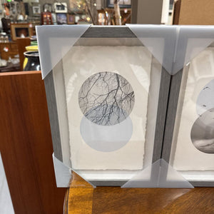Nature Print Trio - 3 Prints in Grey Frame NEW