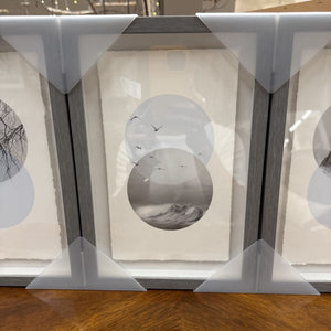 Nature Print Trio - 3 Prints in Grey Frame NEW