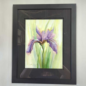 "Spring Iris" Black Framed Watercolour Print by Barbara O'Loughlin