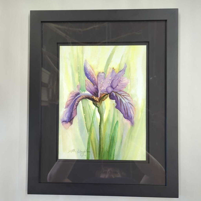 "Spring Iris" Black Framed Watercolour Print by Barbara O'Loughlin