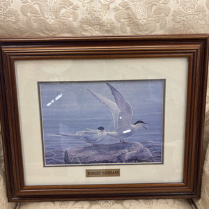 Print - "Arctic Tern" by Robert Bateman