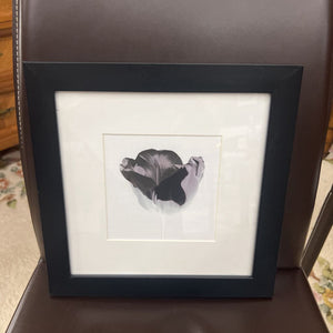 Art Print - Black Grey Tulip in Black Frame