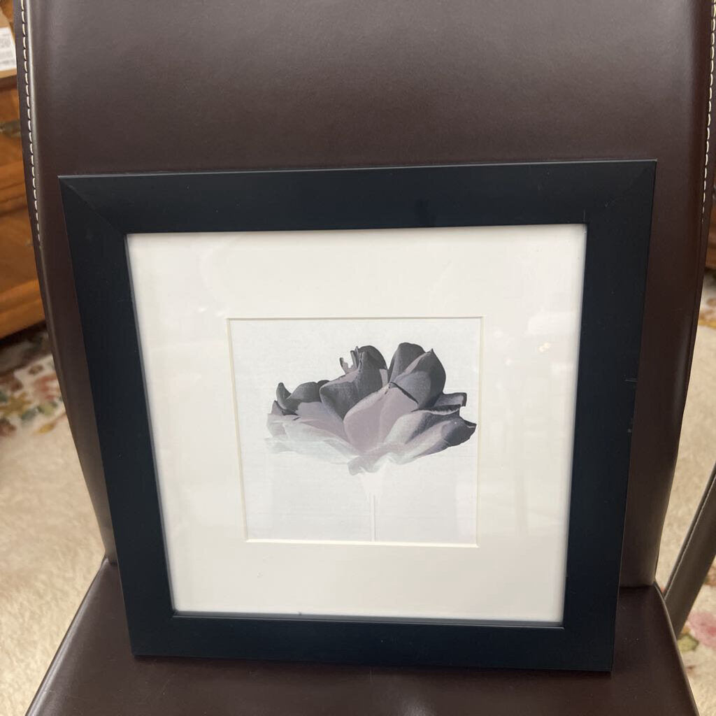Art Print Black Grey Peony in Black Frame