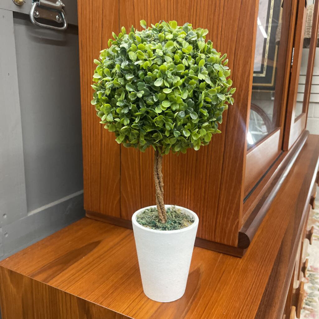 Decorative Boxwood Topiary Plant in White Pot ( chipped bottom)