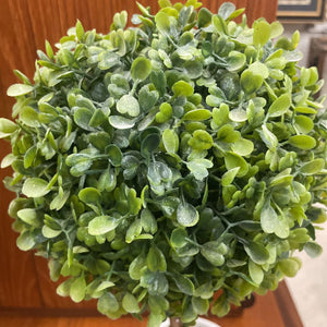Decorative Boxwood Topiary Plant in White Pot