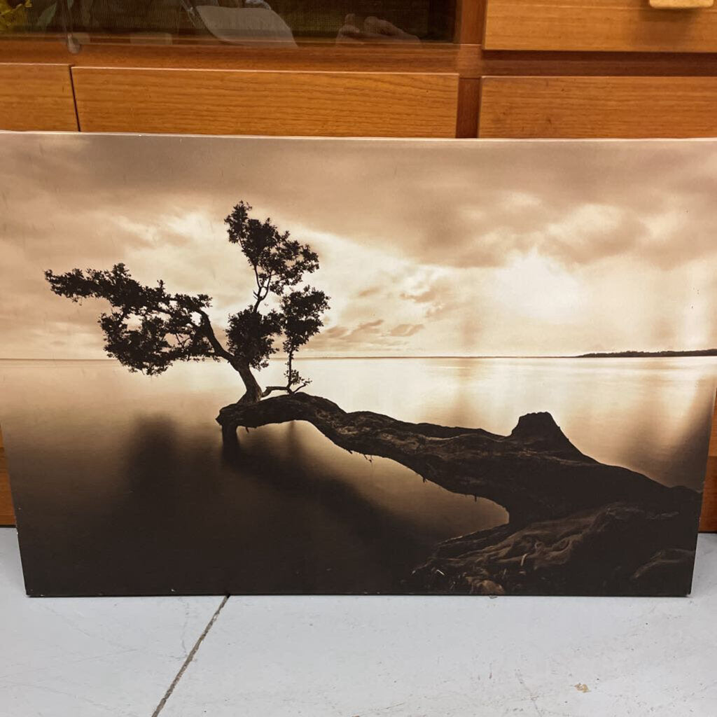 Fallen Tree Landscape Canvas Print