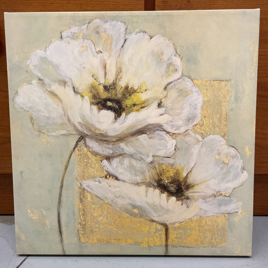 White Poppy Canvas Print