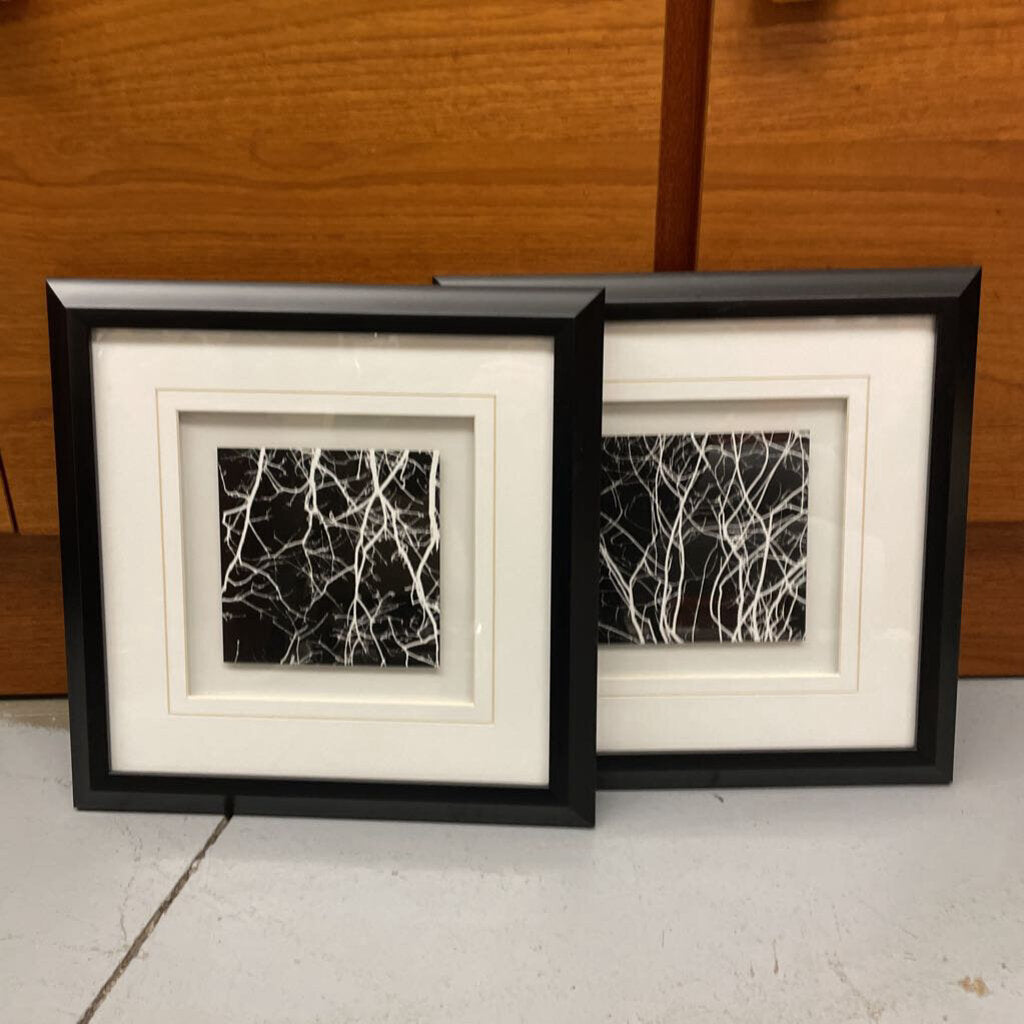 SET of 2 Abstract Tree Framed Photography