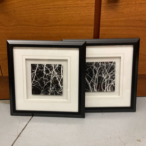 SET of 2 Abstract Tree Framed Photography