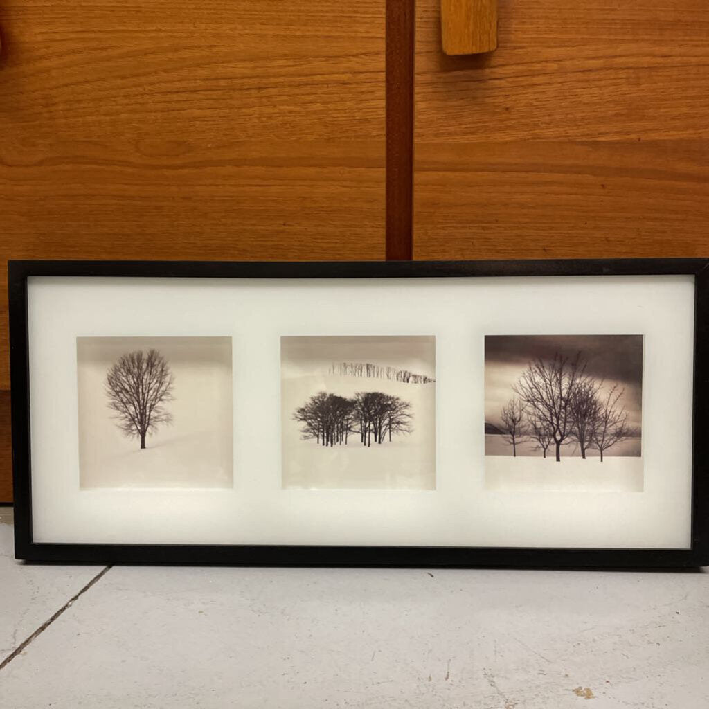 Modern Framed Winter Tree Photography Triad