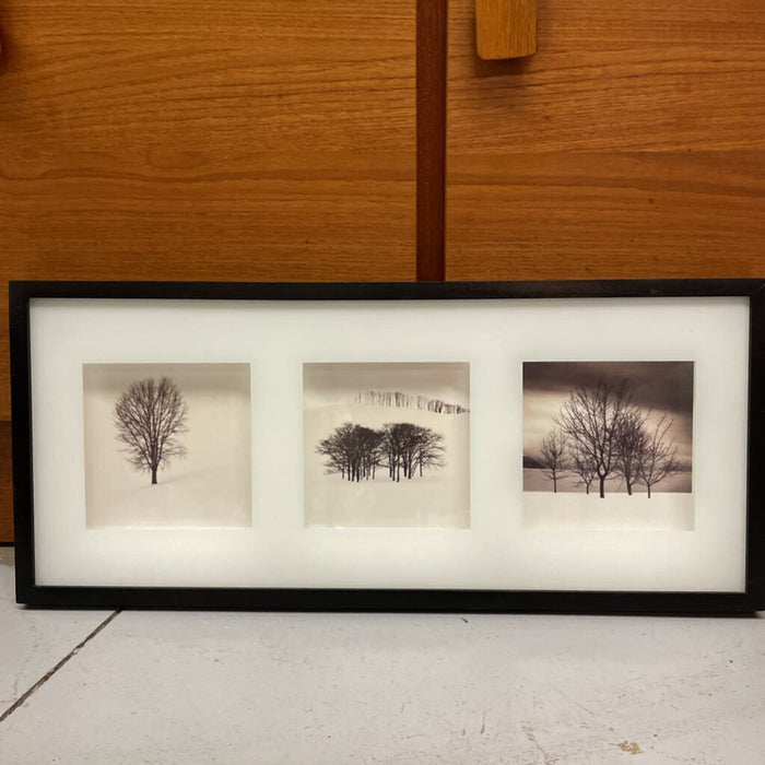 Modern Framed Winter Tree Photography Triad