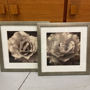 SET of 2 Silver Framed Floral Close Ups