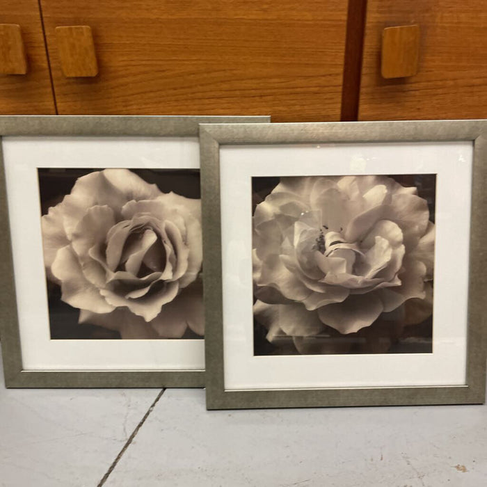 SET of 2 Silver Framed Floral Close Ups