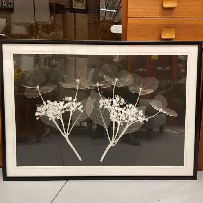 Large Black & White Framed Inverted Floral Photography
