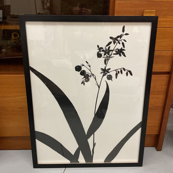 Large Black & White Floral Print