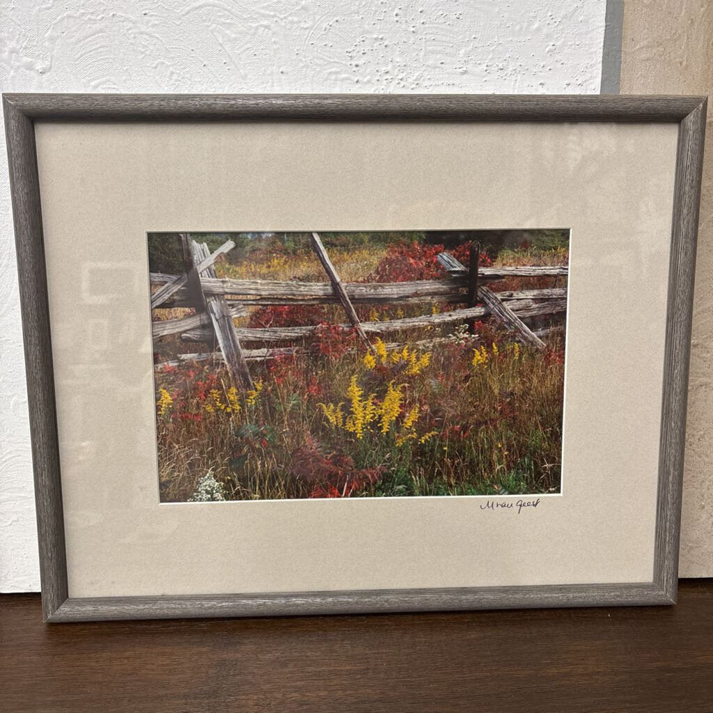 Framed Photography "Split Fence" by M.Geest