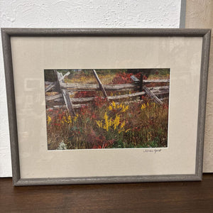 Framed Photography "Split Fence" by M.Geest