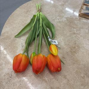 Fresh Touch Orange Day Dream Tulip Bundle 10196O