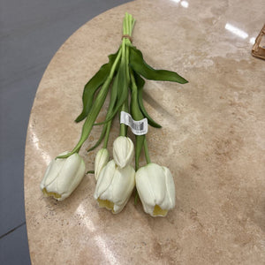 Fresh Touch White Day Dream Tulip Bundle 10196W