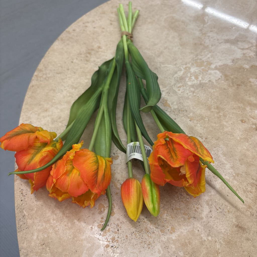 Fresh Touch Orange Green Tulipa Parrot Tulip Bundle 10199O